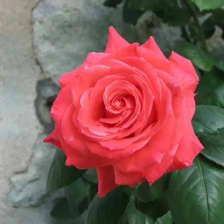 Bed & Breakfast Chateau De La Tour Du Breuil