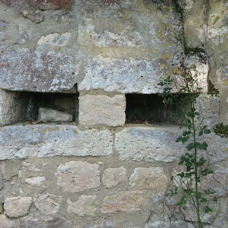 Château De La Tour Du Breuil *